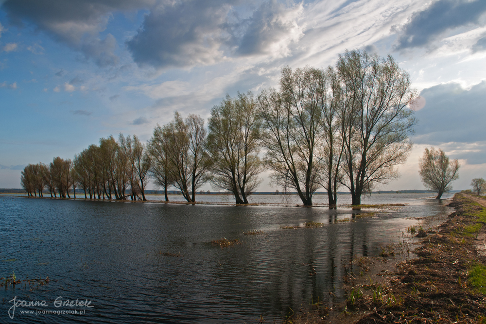 001_Biebrza - kwiecien 2010